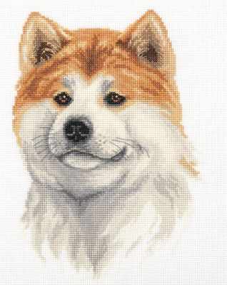 Akita Inu